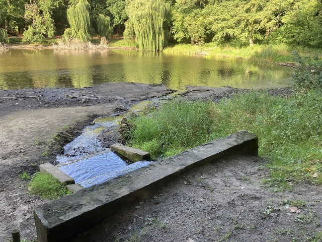 Wysychjący Staw Wędkarski - Głębokie - fot.J.Wilczyńsk 18.09.2026