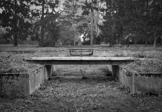 34 Plener - fot. Grażyna Drużyńska (3) [23.10.2011] 34 Plener Fotograficzny Migawki - "Cmentarz Centralny: Nowy Cud Polski"
