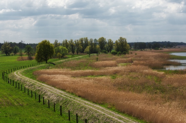 64 Plener Migawki - fot. Regina Nowotarska (7) [27.04.2014] 64. Plener Migawki - Park Natury Zalewu Szczecińskiego