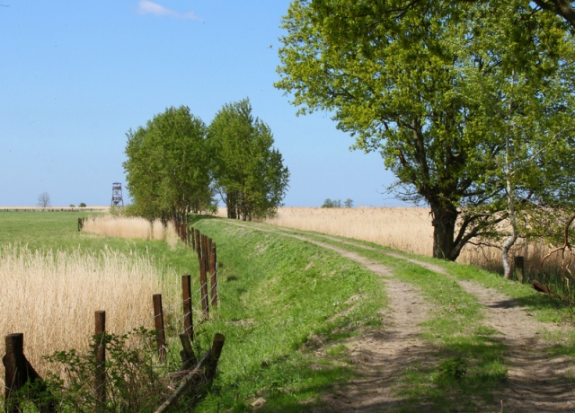 64 Plener Migawki - fot. Bożena Żylińska (5) [27.04.2014] 64. Plener Migawki - Park Natury Zalewu Szczecińskiego