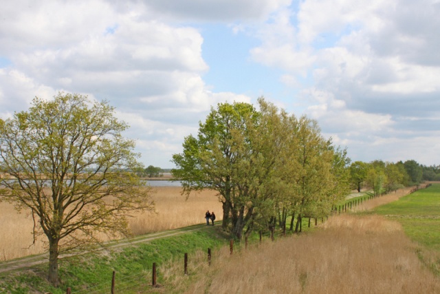 64 Plener Migawki - fot. Bożena Żylińska (6) [27.04.2014] 64. Plener Migawki - Park Natury Zalewu Szczecińskiego