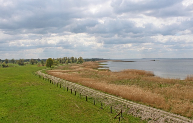 64 Plener Migawki - fot. Bożena Żylińska (9) [27.04.2014] 64. Plener Migawki - Park Natury Zalewu Szczecińskiego