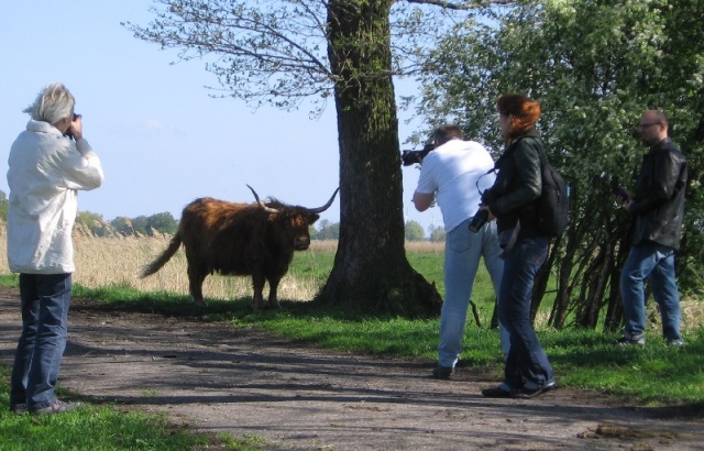 64 Plener Migawki - fot. Eugeniusz Bednarski (13) [27.04.2014] 64. Plener Migawki - Park Natury Zalewu Szczecińskiego