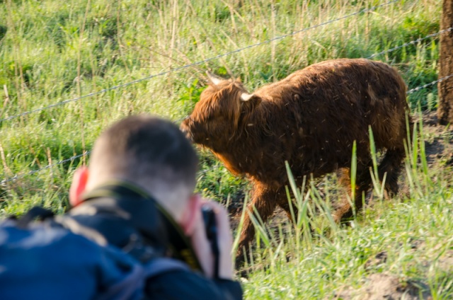 64 Plener Migawki - fot. Paweł Konopczyński (15) [27.04.2014] 64. Plener Migawki - Park Natury Zalewu Szczecińskiego