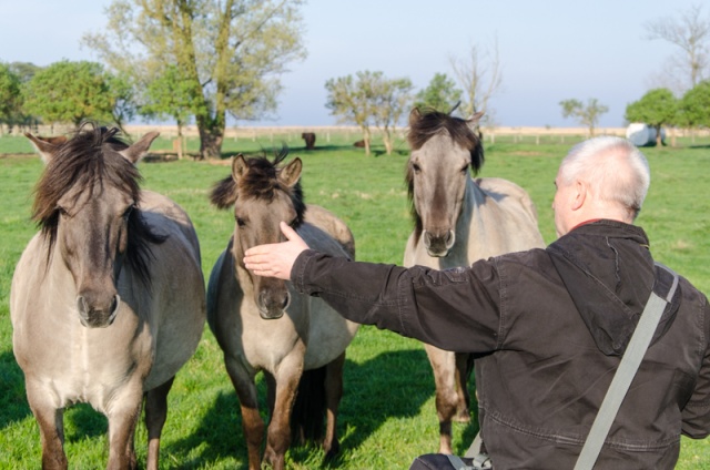 64 Plener Migawki - fot. Paweł Konopczyński (18) [27.04.2014] 64. Plener Migawki - Park Natury Zalewu Szczecińskiego