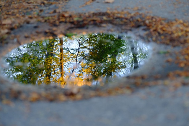 76 Plener Migawki-fot. Grzegorz Siwa (2) [03.05.2015] 76. Plener Migawki - "Zielono mi w zielonym Szczecinie"