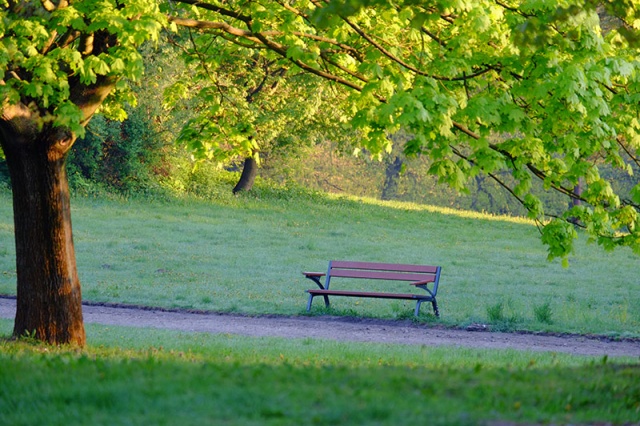 76 Plener Migawki-fot. Grzegorz Siwa (8) [03.05.2015] 76. Plener Migawki - "Zielono mi w zielonym Szczecinie"