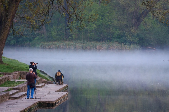 76 Plener Migawki-fot. Marek Pijanowski (8) [03.05.2015] 76. Plener Migawki - "Zielono mi w zielonym Szczecinie"