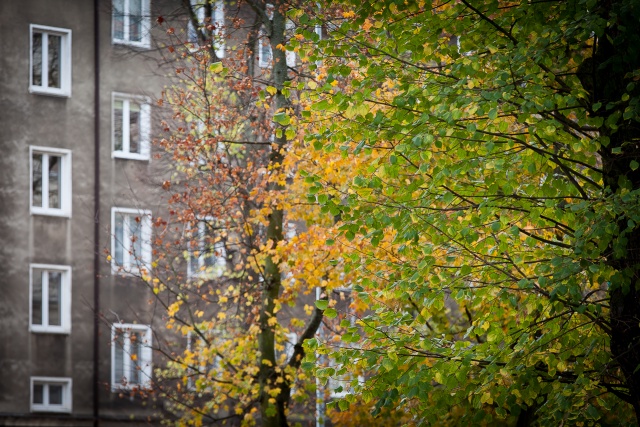 115 Plener Migawki - fot. Andrzej Kutys (10) [27.10.2018] 115 Plener Migawki - "Jesień, jesień - ach to Ty... w mieście"