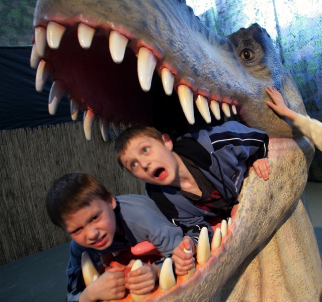 Migawka-Galeria Goscia, fot. Cezary Aszkielowicz, fotoreporter Gazeta Wyborcza (25).JPG [04.10.2008] Galeria Gościa - Cezary Aszkiełowicz, Gazeta Wyborcza Szczecin