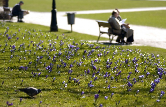 Migawka-Galeria Goscia, fot. Cezary Aszkielowicz, fotoreporter Gazeta Wyborcza (31).JPG [04.10.2008] Galeria Gościa - Cezary Aszkiełowicz, Gazeta Wyborcza Szczecin