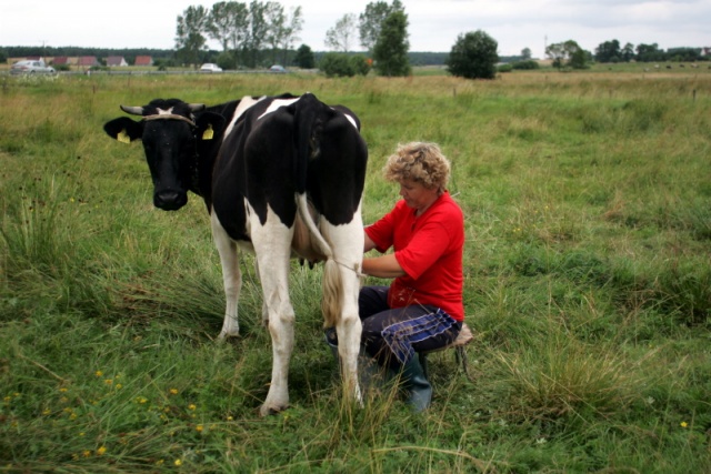 Migawka-Galeria Goscia, fot. Cezary Aszkielowicz, fotoreporter Gazeta Wyborcza (33).JPG [04.10.2008] Galeria Gościa - Cezary Aszkiełowicz, Gazeta Wyborcza Szczecin