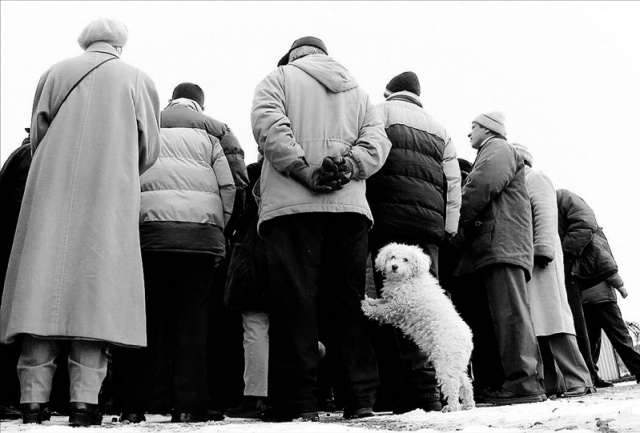 Migawka-Galeria Goscia, fot. Cezary Aszkielowicz, fotoreporter Gazeta Wyborcza (7).JPG [04.10.2008] Galeria Gościa - Cezary Aszkiełowicz, Gazeta Wyborcza Szczecin