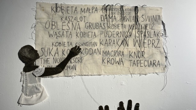 "Hair story" Dominika Wyrobek. Fot. Małgorzata Frymus "Animateria" w Galerii Zona Akademii Sztuki