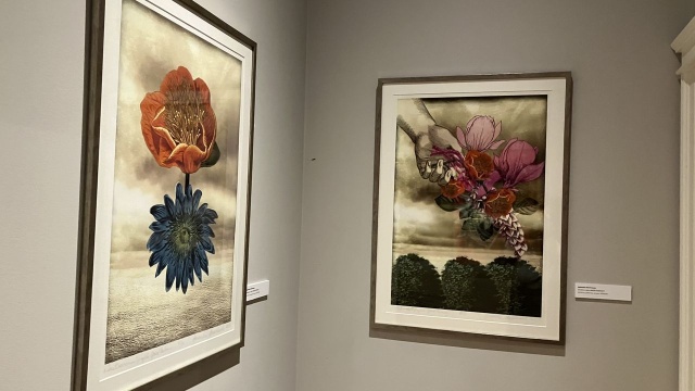 Wernisaż:Sensualne odkrycie wyobraźni. Fot. Małgorzata Frymus Sensualne odkrycie wyobraźni - Agnieszka Gewartowska