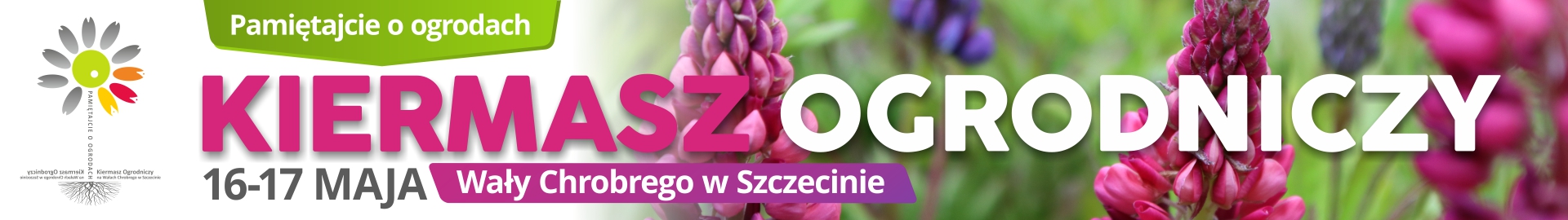 Zobacz