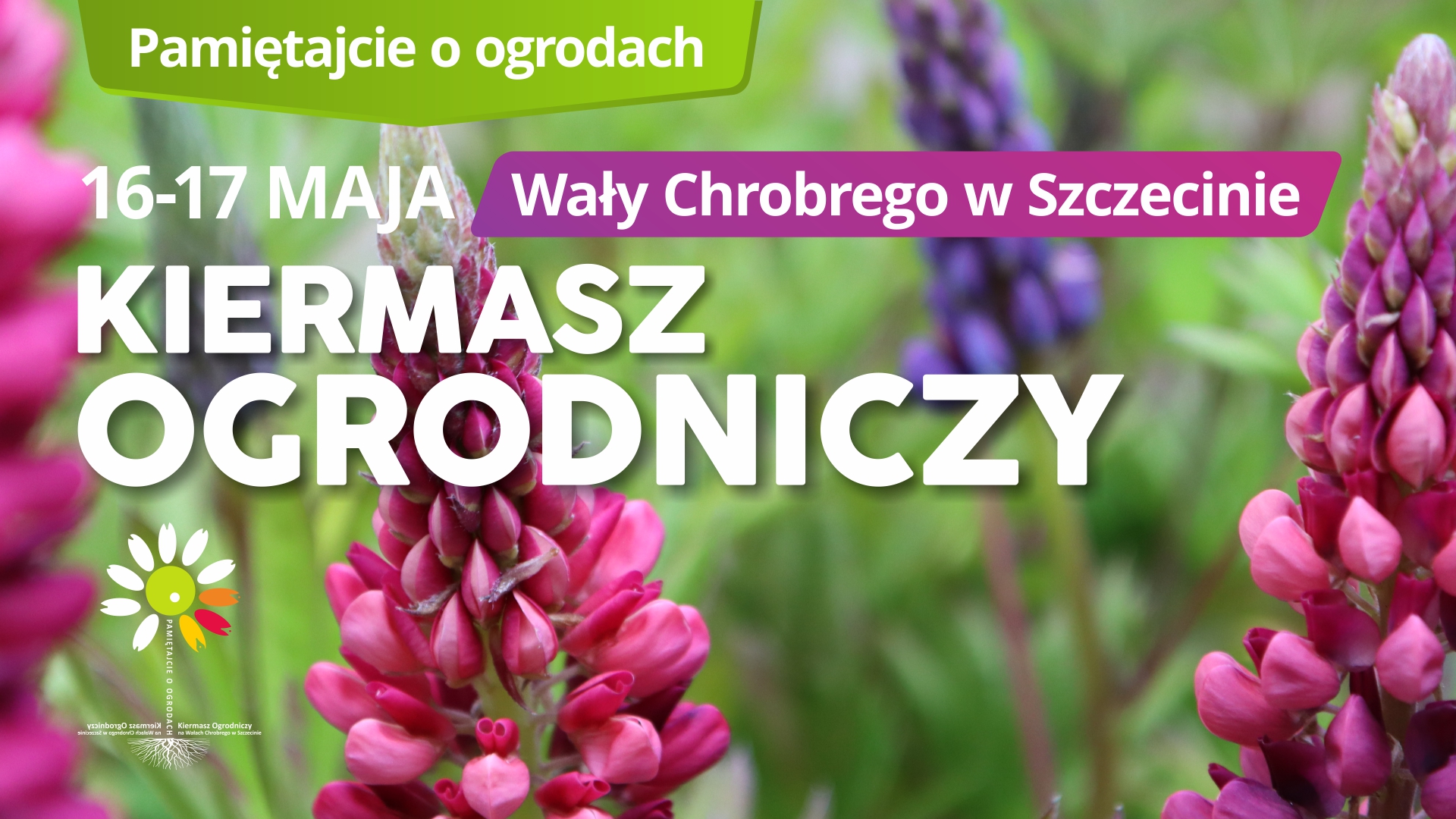 Zobacz