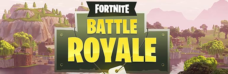 Fortnite Battle Royal PS4Y ver1