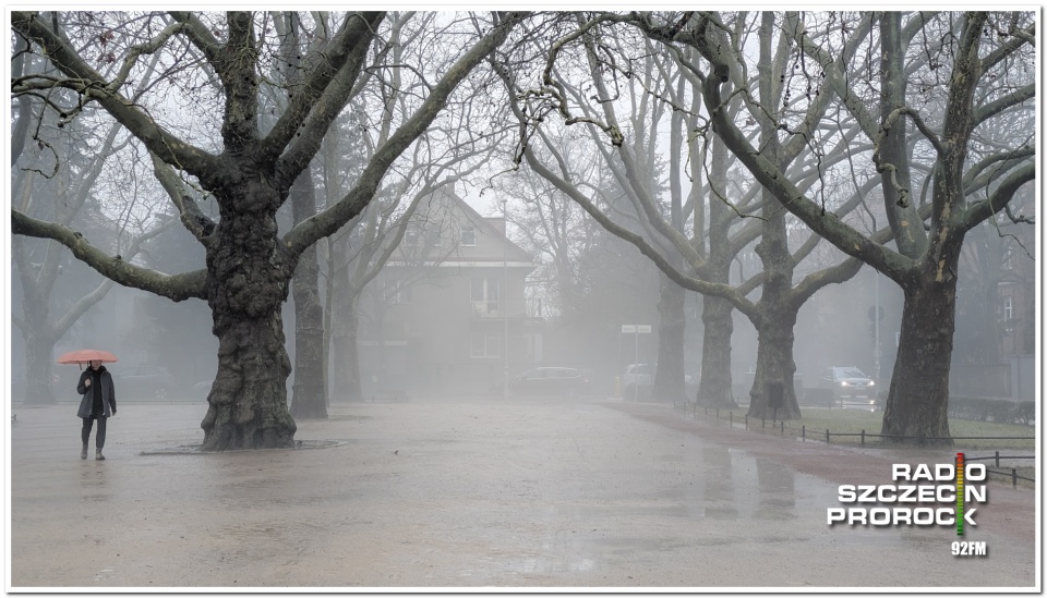 Ars longa, vita brevis czyli Prorock na koniec lutego. | Fot. Maciej Papke