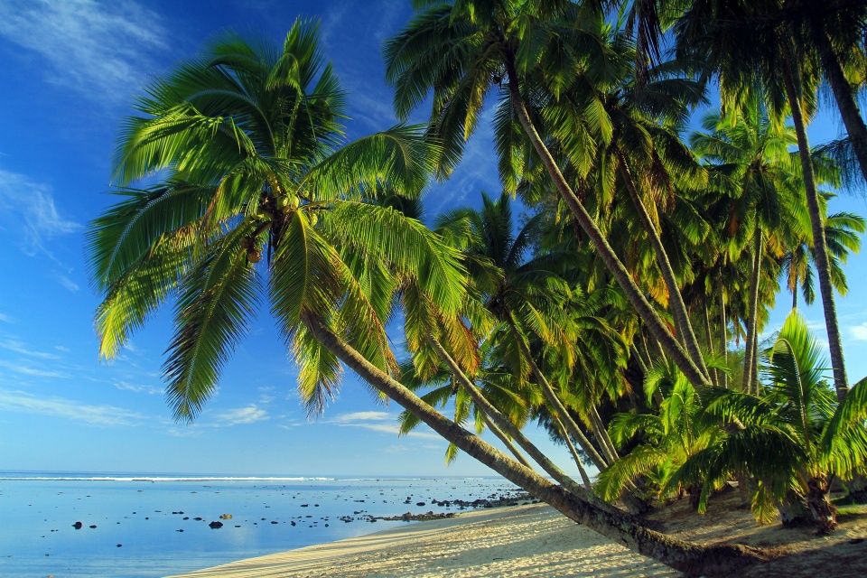 Wielki błękit na Wyspach Cooka. Fot. pixabay.com