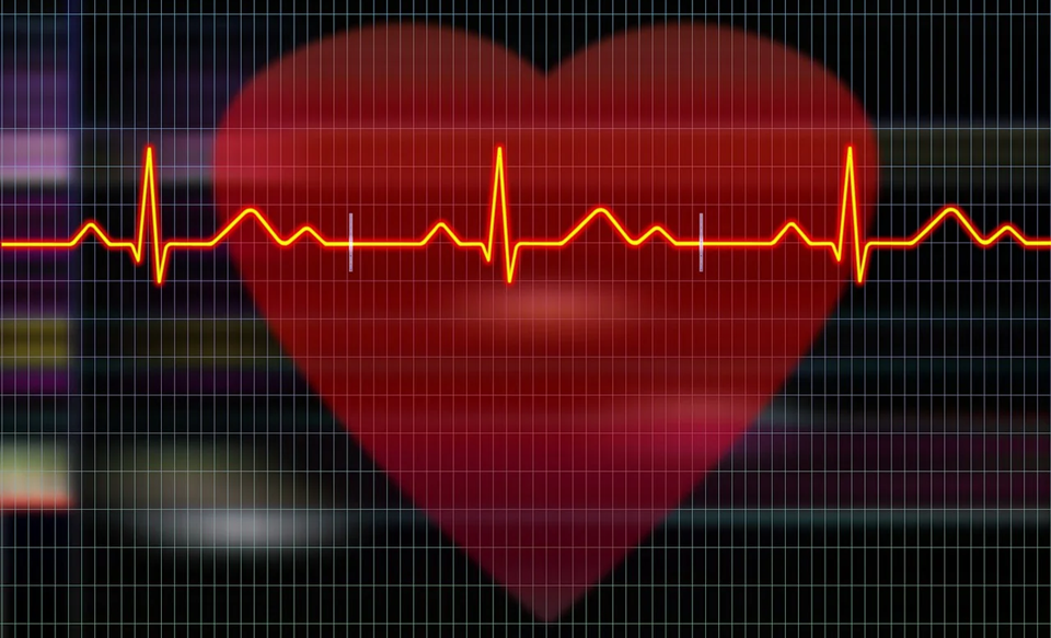 źródło: www.pixabay.com/pl/photos/ Fot. HappyEnd