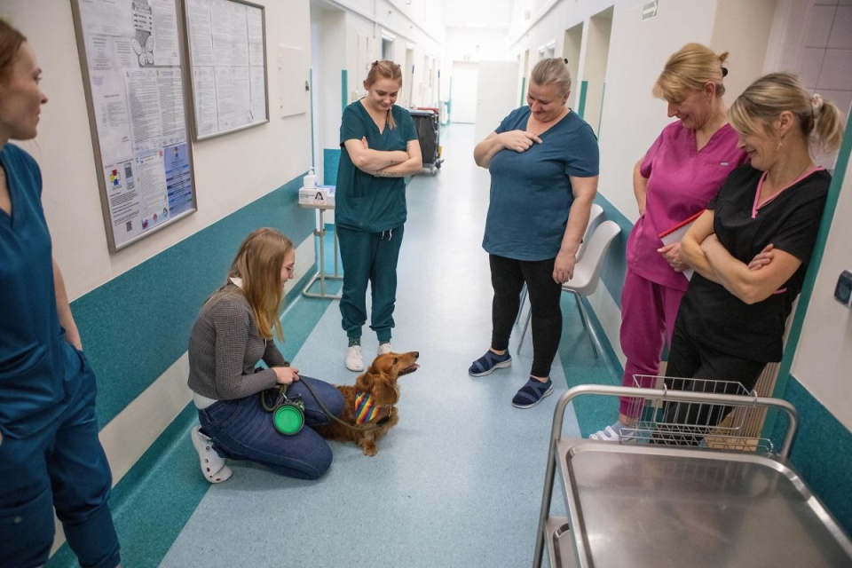 Fot. Michał Borowczyk / Agencja Wyborcza.pl