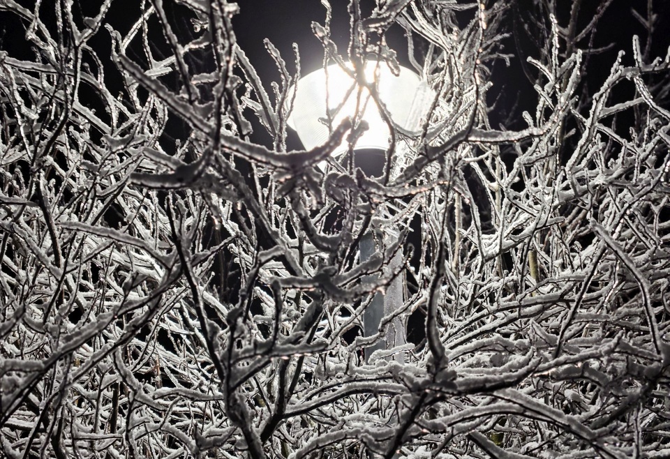 Fot. Sławomir Orlik, PR Szczecin