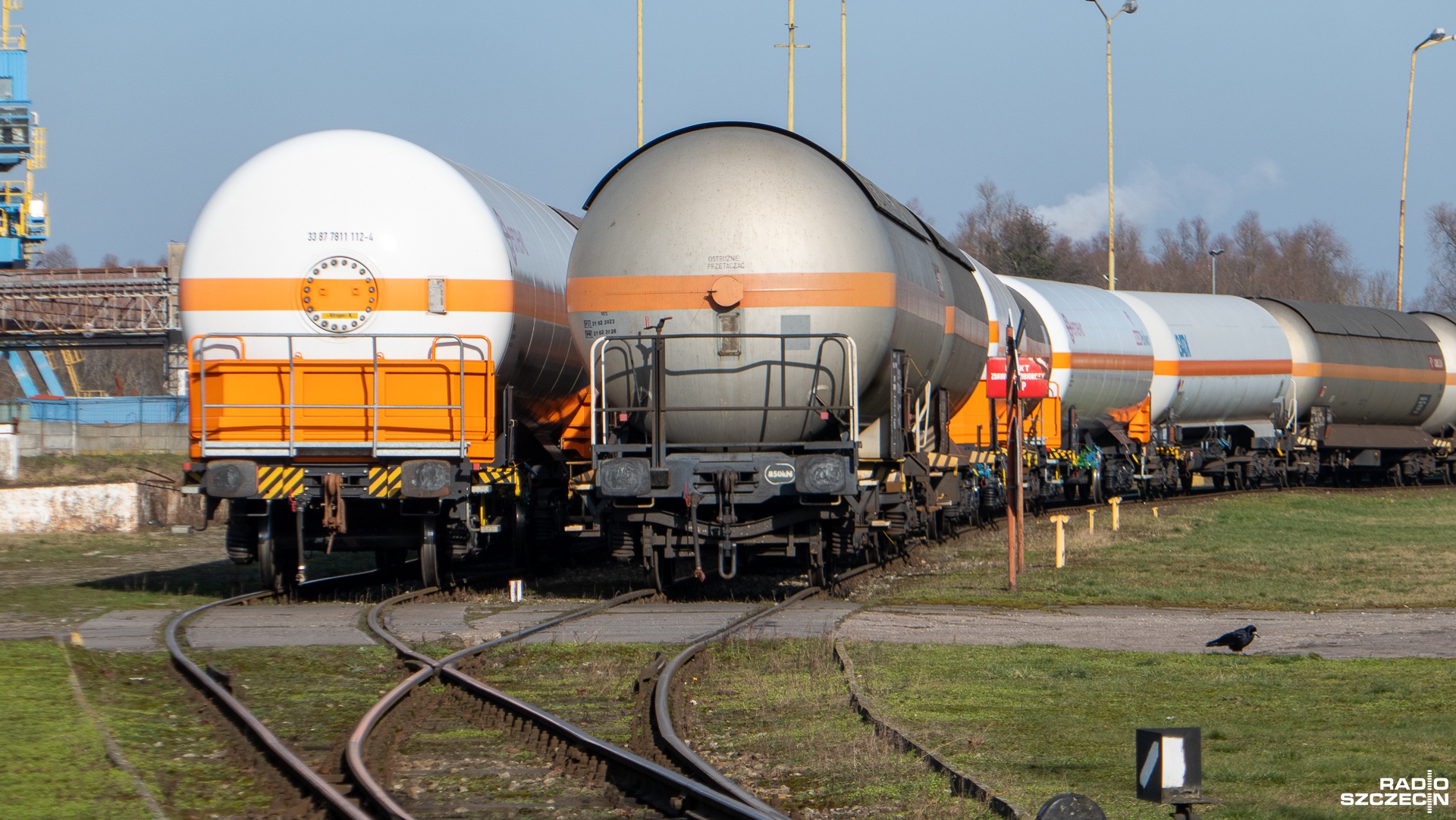 Nie ma zagrożenia dla mieszkańców, służby nie potwierdziły wycieku amoniaku w Szczecinie.