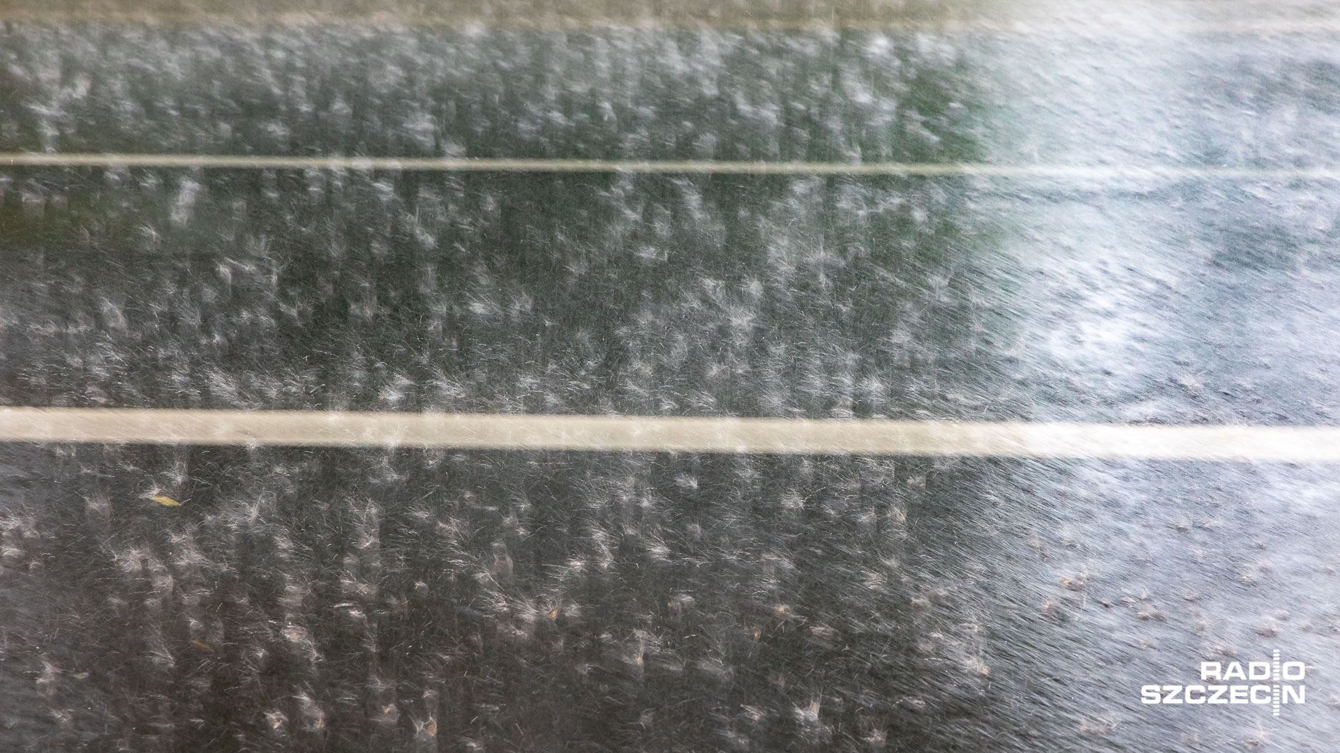 Kilkadziesiąt tysięcy uczestników festiwalu Burning Man w Newadzie zostało uwięzionych na pustyni po ulewnych deszczach. Teren, na którym odbywa się impreza, zmienił się błotniste bajoro. Drogi dojazdowe są nieprzejezdne.