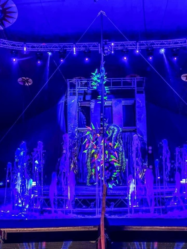 Cyrk na wodzie - Waterland 