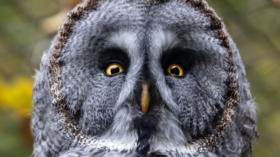 Tierpark Ueckermünde