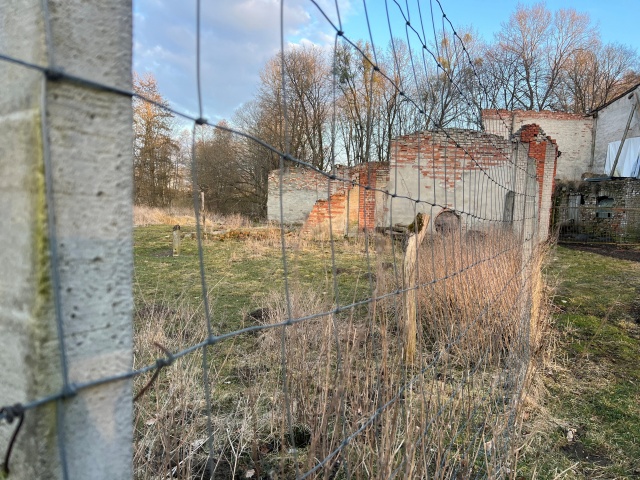 Fot. Małgorzata Gwiazda-Elmerych [Radio Szczecin] "W słowach kilku o tym wilku" - reportaż Małgorzaty Gwiazdy-Elmerych