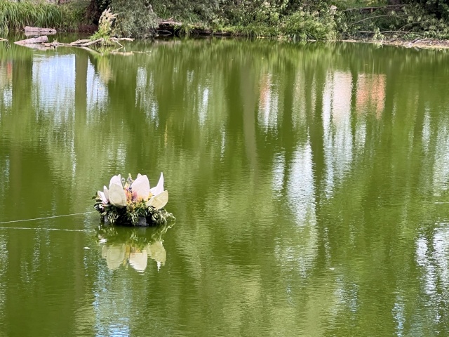 Fot. Małgorzata Gwiazda-Elmerych [Radio Szczecin] "Kwietna Pani i jej Land Art" - reportaż Małgorzaty Gwiazdy-Elmerych
