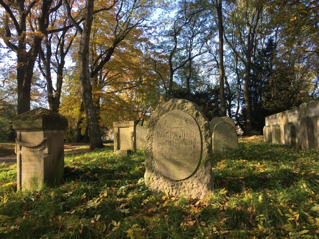 Czytać cmentarze. Z Markiem Łuczakiem o szczecińskich nekropoliach