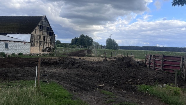Kruk krukowi..., ale owcy już tak - reportaż Małgorzaty Gwiazdy-Elmerych