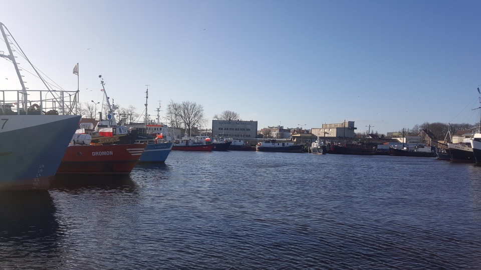 Fot. Andrzej Walaszczyk