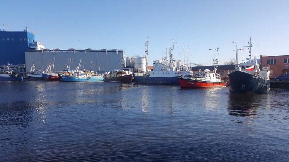 Fot. Andrzej Walaszczyk