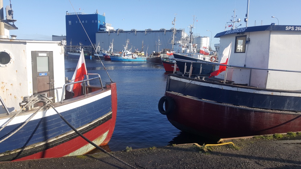 Fot. Andrzej Walaszczyk