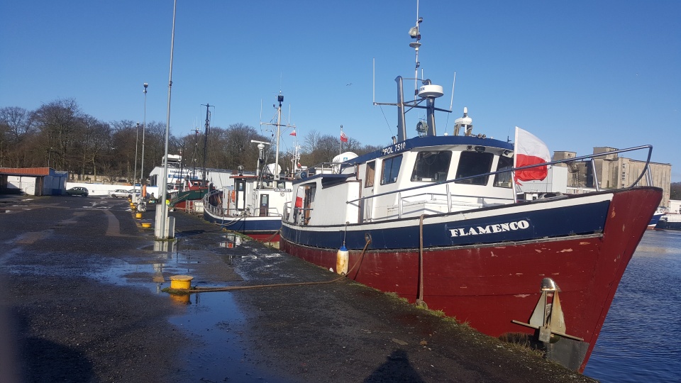 Fot. Andrzej Walaszczyk