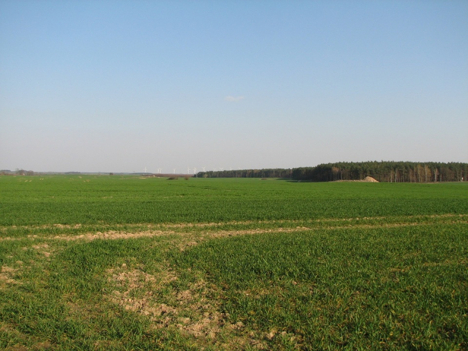 Teren pod planowaną żwirownię
