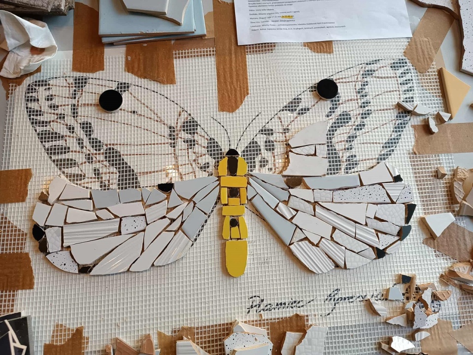 Nasza Dzielnia - motyl w procesie tworzenia