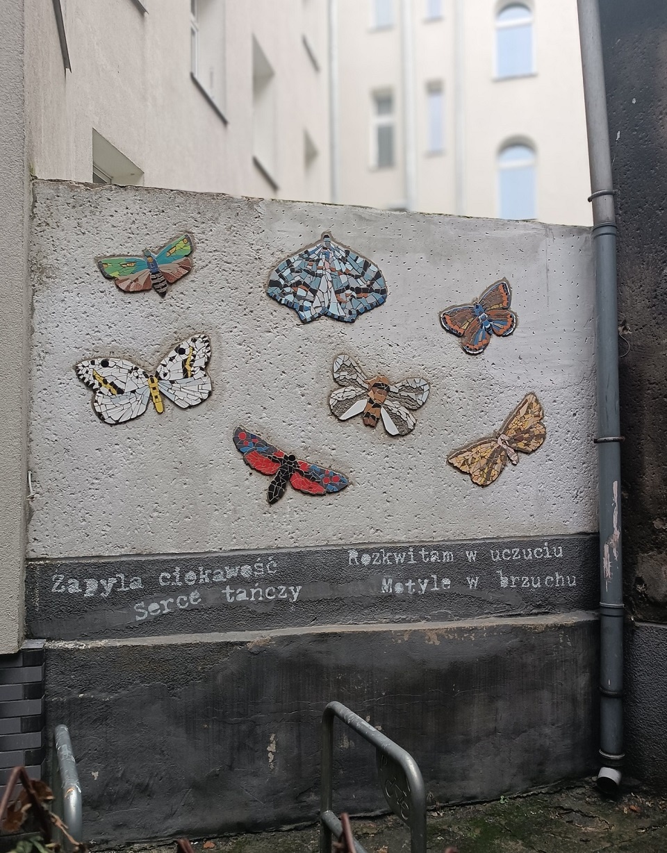 Ścianka z motylami Urbahnów; fot. Stowarzyszenie Oswajanie Miasta