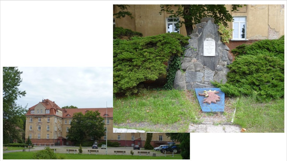 Pomnik przy Zespole Szkół nr 2 w Dąbiu. Fot. Marian Kalemba