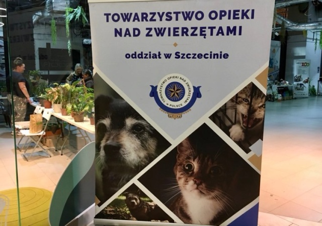  TOZiaki w Turzynie (11.11.2022)