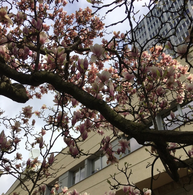 Wieżowiec tuż po sprzedaniu. Rok 2018. Fot Agata Rokicka [Radio Szczecin] Oddanie nowego Ośrodka Polskiego Radia I Telewizji - audycja Marii Okulicz i Marka Koszura (TS 5583)