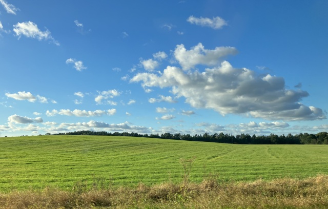 [19.10.2024] Producenci i naukowcy o zdrowej żywności i hodowli w zgodnie z naturą. Młodzież z GOK Kozielice w Radiu Szczecin.