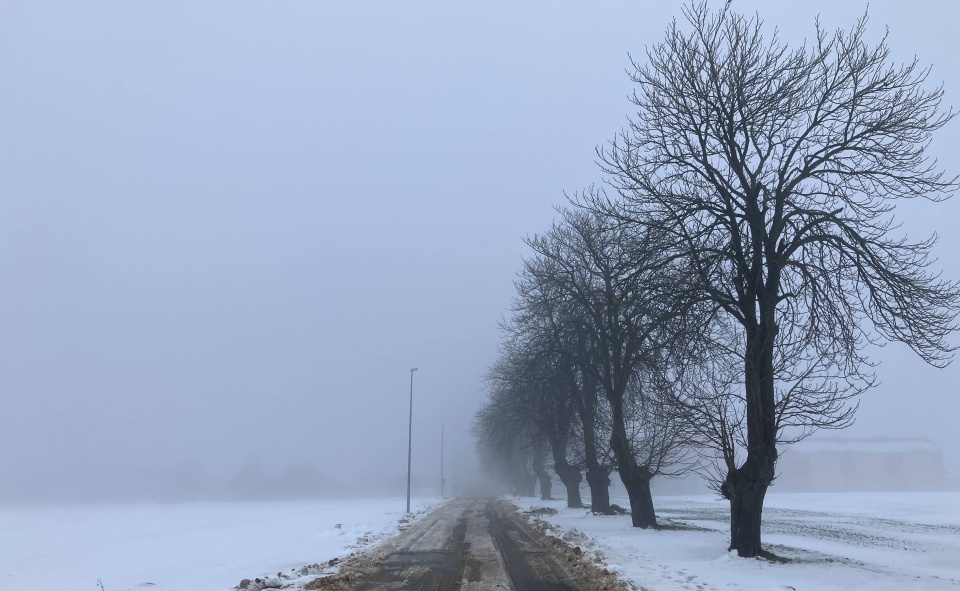 Na Szczecińskiej Ziemi. fot. P. Tolko (Radio Szczecin)