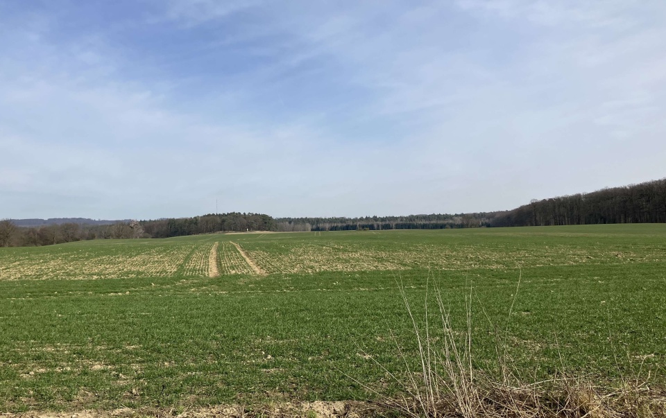 Na Szczecińskiej Ziemi. fot. P. Tolko (Radio Szczecin)