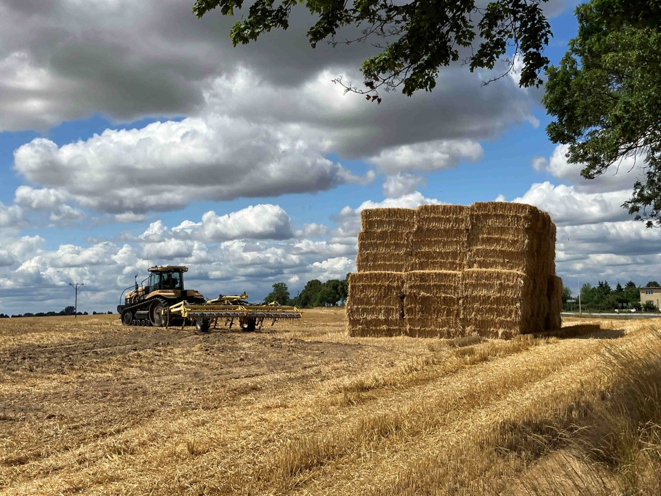 Na Szczecińskiej Ziemi. fot. P. Tolko (Radio Szczecin)