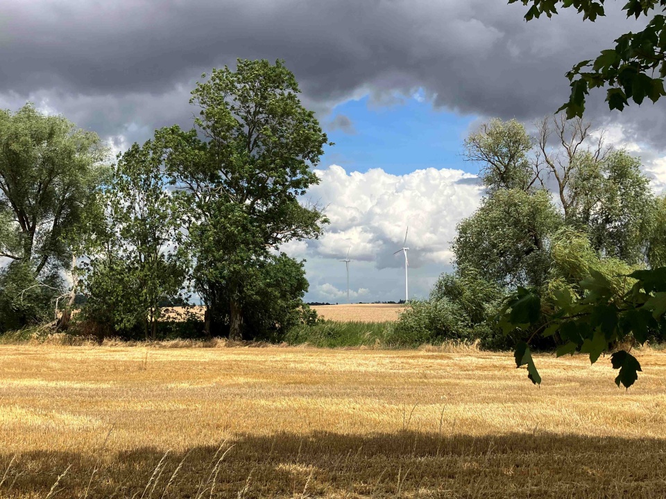 Na Szczecińskiej Ziemi. fot. P. Tolko (Radio Szczecin)